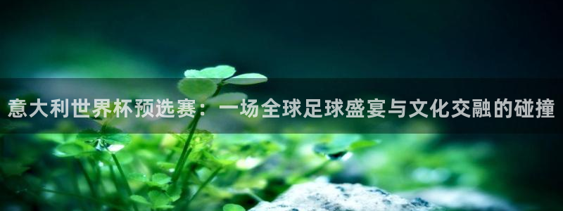 2026世界杯足球赛程时间表:意大利世界杯预选赛:一场全球足球盛宴与文化交融的碰撞