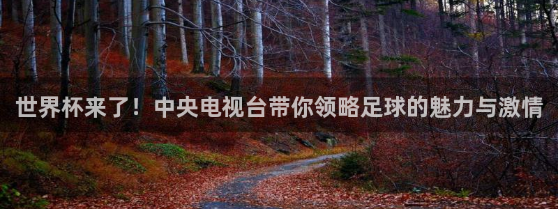 世界杯葡萄牙赛程:世界杯来了!中央电视台带你领略足球的魅力与激情