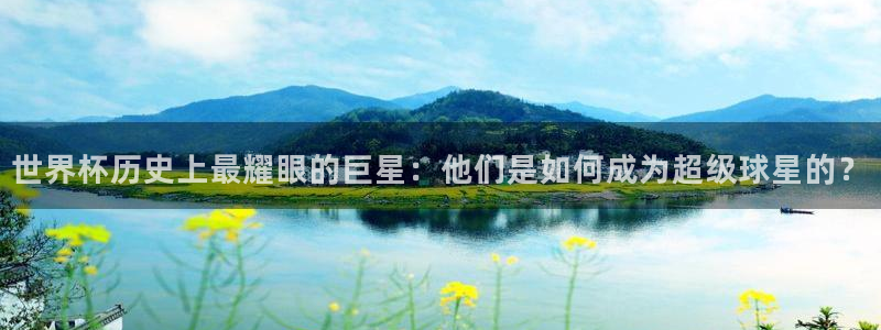 世界杯足球赛:世界杯历史上最耀眼的巨星:他们是如何成为超级球星的?