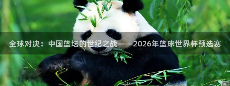 世界杯第一场比赛:全球对决:中国篮坛的世纪之战——2026年篮球世界杯预选赛