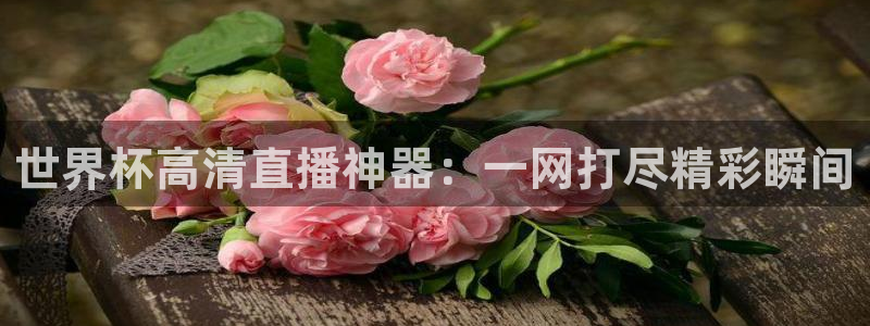世界杯视频:世界杯高清直播神器:一网打尽精彩瞬间
