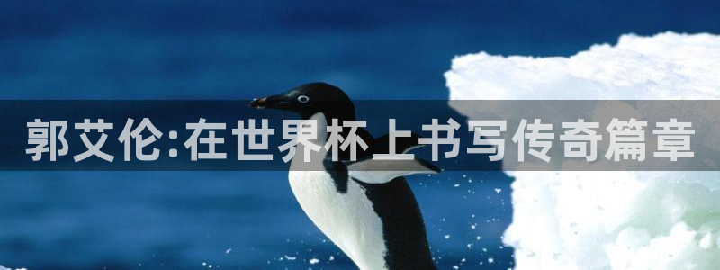 2026世预赛全部赛程:郭艾伦:在世界杯上书写传奇篇章