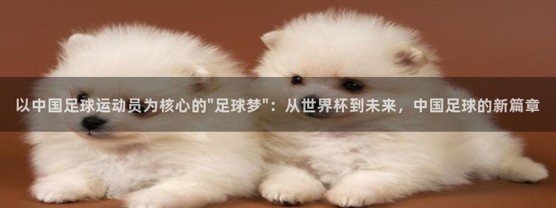 世界杯预赛赛程:以中国足球运动员为核心的\